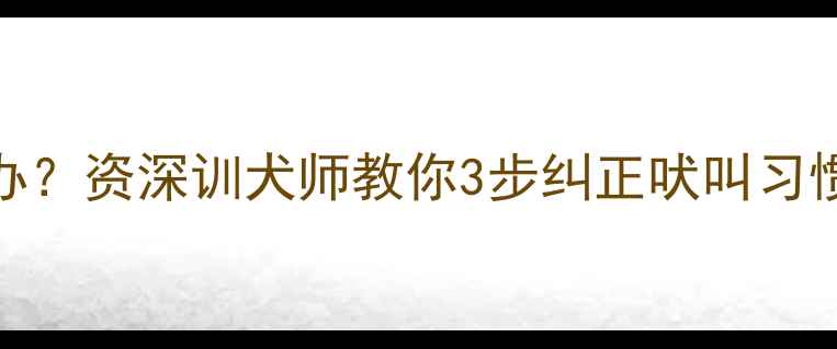 图片 🐾边牧频繁吠叫怎么办？资深训犬师教你3步纠正吠叫习惯🐾家庭必备训练指南