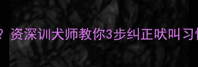 图片 🐾边牧频繁吠叫怎么办？资深训犬师教你3步纠正吠叫习惯🐾家庭必备训练指南1
