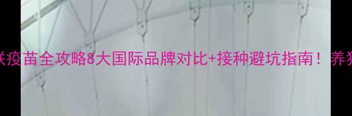 图片 🐾进口犬八联疫苗全攻略8大国际品牌对比+接种避坑指南！养狗必看干货！