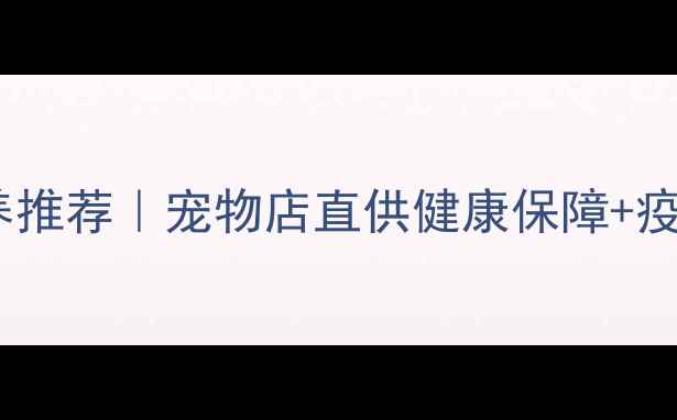图片 🐾连云港优质拉布拉多领养推荐｜宠物店直供健康保障+疫苗接种💖亲子家庭必看！2