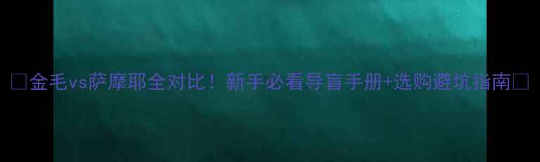 图片 🐾金毛vs萨摩耶全对比！新手必看导盲手册+选购避坑指南🐶