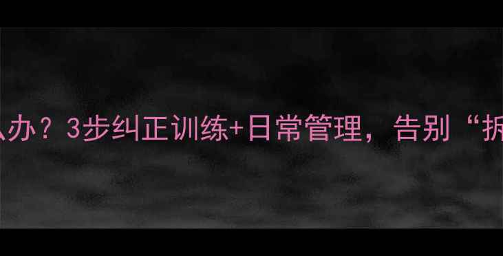 图片 🐾金毛乱咬怎么办？3步纠正训练+日常管理，告别“拆家小能手”！2