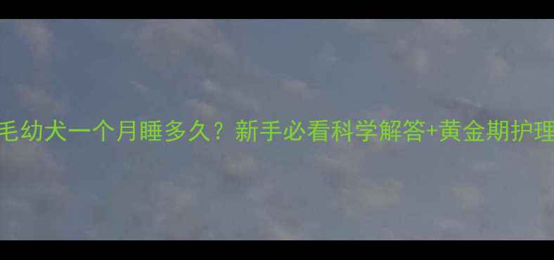 图片 🐾金毛幼犬一个月睡多久？新手必看科学解答+黄金期护理指南