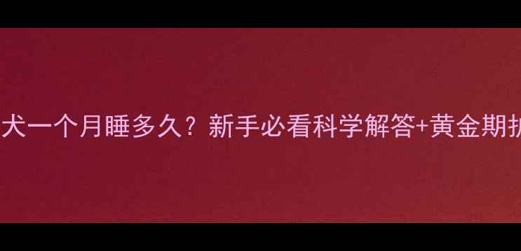 图片 🐾金毛幼犬一个月睡多久？新手必看科学解答+黄金期护理指南2