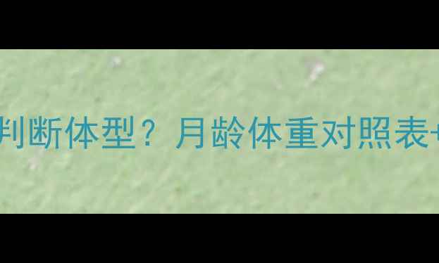 图片 🐾金毛幼犬如何判断体型？月龄体重对照表+科学养护指南🐶