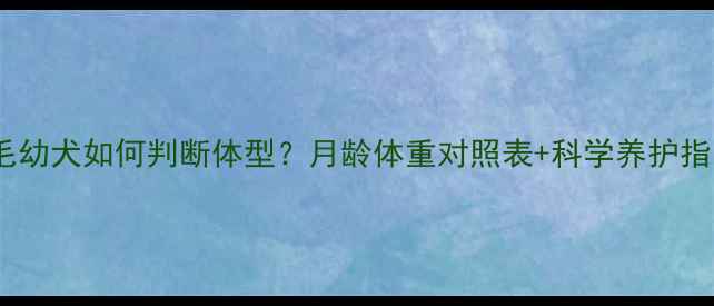图片 🐾金毛幼犬如何判断体型？月龄体重对照表+科学养护指南🐶1