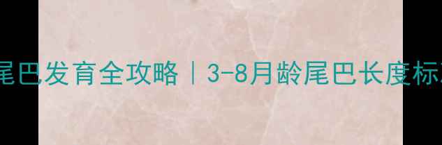 图片 🐾金毛幼犬尾巴发育全攻略｜3-8月龄尾巴长度标准+护理指南