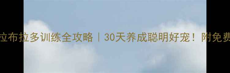 图片 🐾金毛拉布拉多训练全攻略｜30天养成聪明好宠！附免费训练表