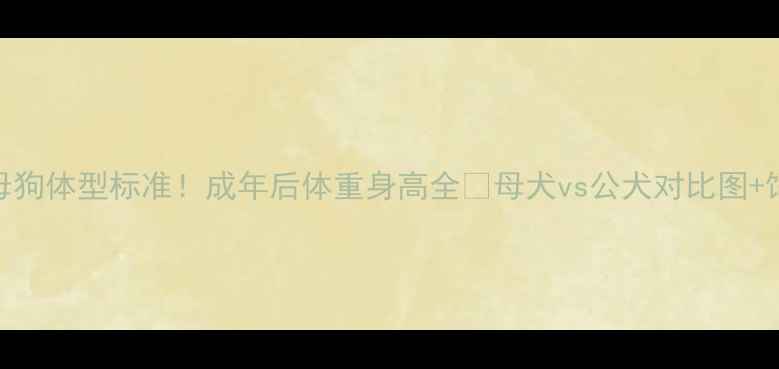 图片 🐾金毛母狗体型标准！成年后体重身高全🐾母犬vs公犬对比图+饲养指南