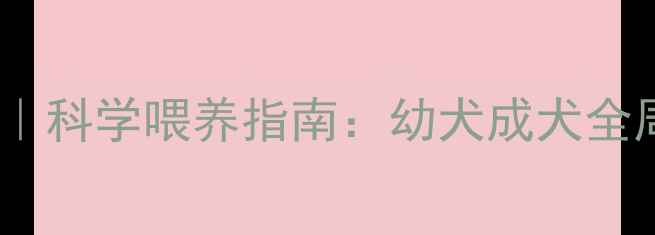 图片 🐾金毛犬主食推荐｜科学喂养指南：幼犬成犬全周期营养搭配秘籍1