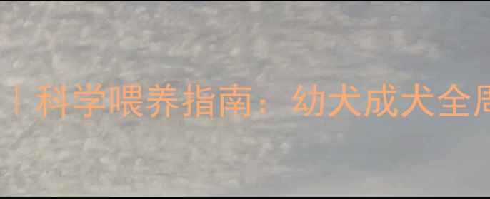 图片 🐾金毛犬主食推荐｜科学喂养指南：幼犬成犬全周期营养搭配秘籍2