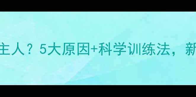 图片 🐾金毛犬咬主人？5大原因+科学训练法，新手必看！🐾
