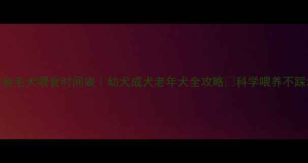 图片 🐾金毛犬喂食时间表｜幼犬成犬老年犬全攻略✨科学喂养不踩坑