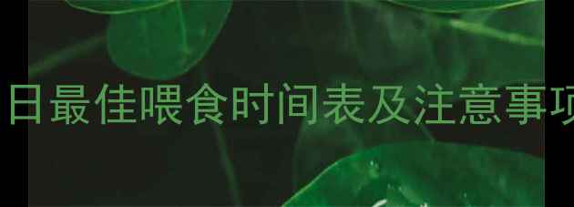 图片 🐾金毛犬科学喂养指南：每日最佳喂食时间表及注意事项（附成长阶段喂食方案）1