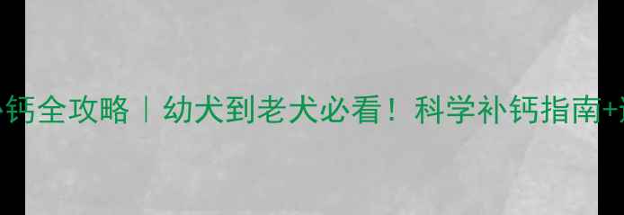 图片 🐾金毛补钙全攻略｜幼犬到老犬必看！科学补钙指南+避坑提醒