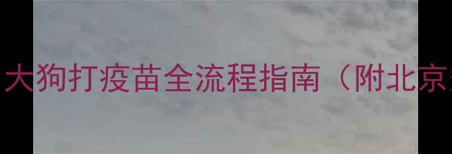 图片 🐾铲屎官必看！大狗打疫苗全流程指南（附北京宠物医院推荐）