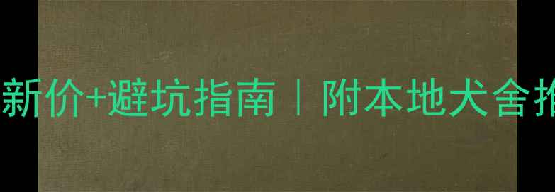 图片 🐾长春拉布拉多最新价+避坑指南｜附本地犬舍推荐+养护全攻略🔥