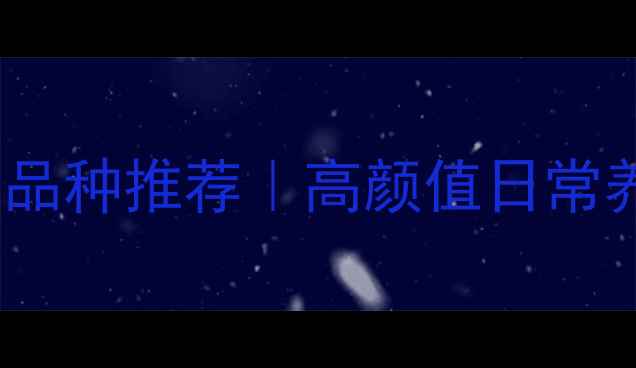 图片 🐾黑色小狗品种推荐｜高颜值日常养护指南🐶1