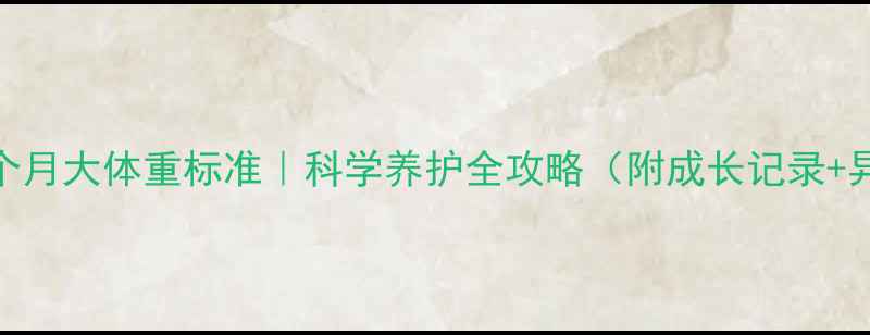 图片 🐾龙猫两个月大体重标准｜科学养护全攻略（附成长记录+异常警报）