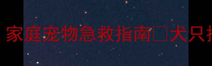 图片 💔小狗快不行了怎么办？家庭宠物急救指南🔥犬只抢救黄金30分钟必须收藏