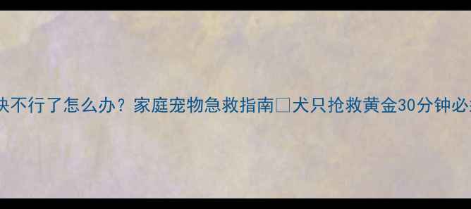 图片 💔小狗快不行了怎么办？家庭宠物急救指南🔥犬只抢救黄金30分钟必须收藏2