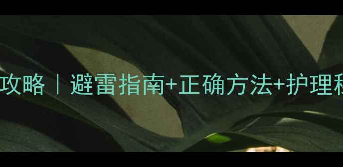 图片 💡金毛夏天剪毛全攻略｜避雷指南+正确方法+护理秘籍（附对比图）2