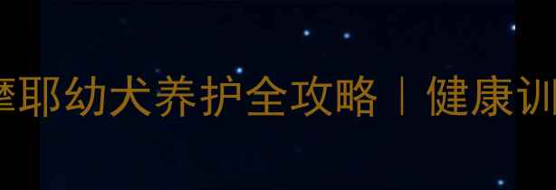 图片 📅三个月后萨摩耶幼犬养护全攻略｜健康训练饮食一本通1