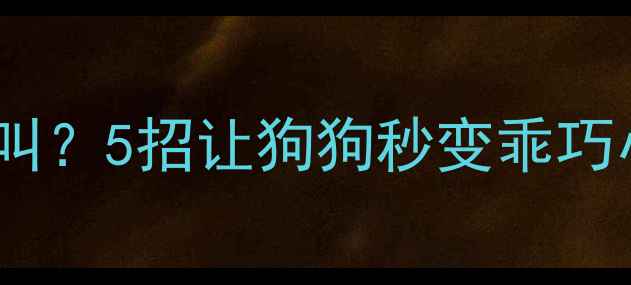 图片 📌3岁泰迪突然拆家乱叫？5招让狗狗秒变乖巧小绅士｜附训练全攻略