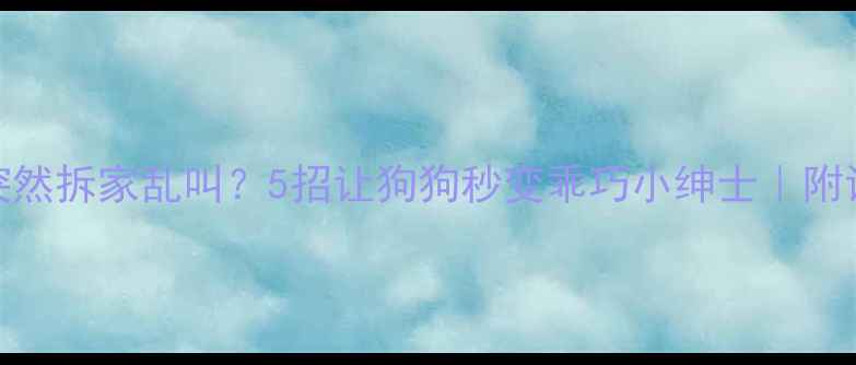 图片 📌3岁泰迪突然拆家乱叫？5招让狗狗秒变乖巧小绅士｜附训练全攻略2