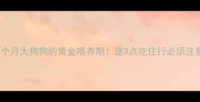 图片 📌4个月大狗狗的黄金喂养期！这3点吃住行必须注意🐾