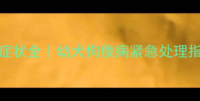 图片 📌三个月大哈士奇缺钙症状全｜幼犬佝偻病紧急处理指南（附科学补钙方案）