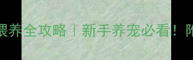 图片 📌两个月小奶狗喂养全攻略｜新手养宠必看！附正确喂养时间表