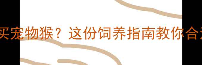 图片 📌北京哪里买宠物猴？这份饲养指南教你合法养猴避坑2