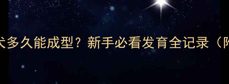 图片 📌博美犬多久能成型？新手必看发育全记录（附照）🐾