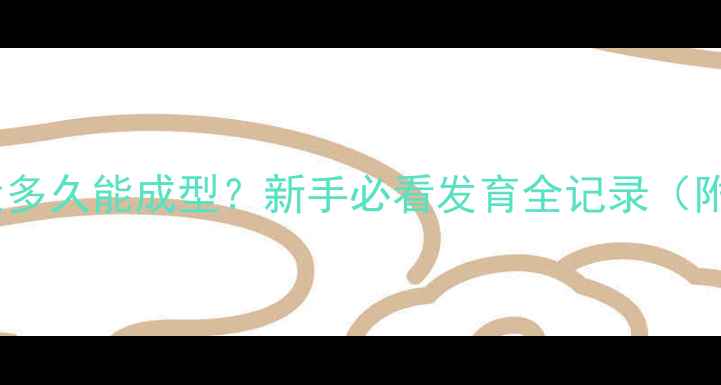 图片 📌博美犬多久能成型？新手必看发育全记录（附照）🐾1