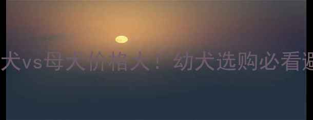 图片 📌哈士奇公犬vs母犬价格大！幼犬选购必看避坑指南🐾2