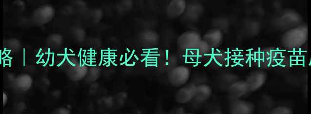 图片 📌哺乳期狗狗疫苗全攻略｜幼犬健康必看！母犬接种疫苗后母乳能否传抗体？🐾1