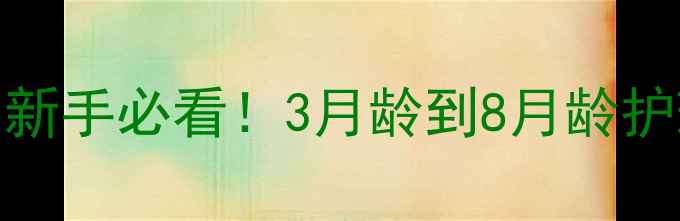 图片 📌土狗换牙期全攻略｜新手必看！3月龄到8月龄护理指南+超全避坑清单1