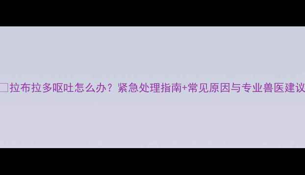 图片 📌拉布拉多呕吐怎么办？紧急处理指南+常见原因与专业兽医建议