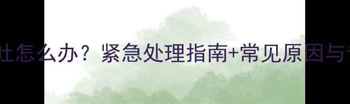图片 📌拉布拉多呕吐怎么办？紧急处理指南+常见原因与专业兽医建议1