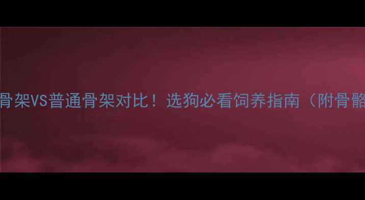 图片 📌拉布拉多大骨架VS普通骨架对比！选狗必看饲养指南（附骨骼养护全攻略）