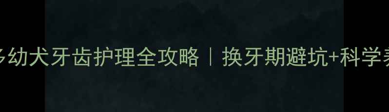 图片 📌拉布拉多幼犬牙齿护理全攻略｜换牙期避坑+科学养护指南🐾