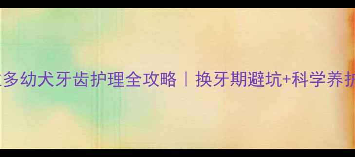 图片 📌拉布拉多幼犬牙齿护理全攻略｜换牙期避坑+科学养护指南🐾1