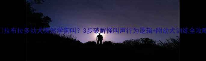 图片 📌拉布拉多幼犬突然学狗叫？3步破解怪叫声行为逻辑+附幼犬训练全攻略