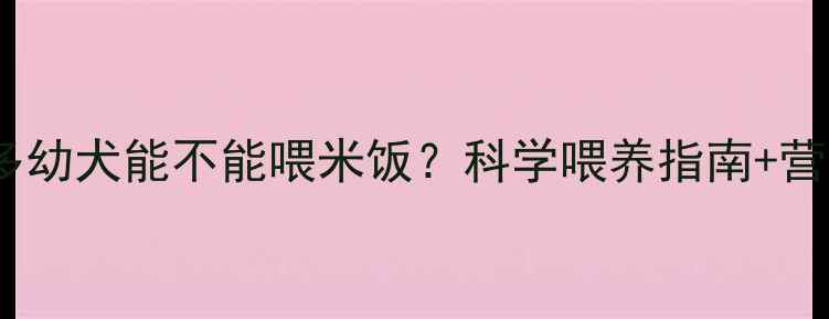 图片 📌拉布拉多幼犬能不能喂米饭？科学喂养指南+营养搭配表2