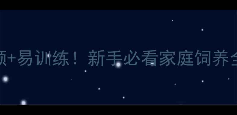 图片 📌拉布拉多犬性格温顺+易训练！新手必看家庭饲养全攻略（附选犬指南）