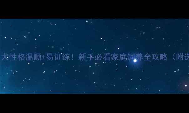 图片 📌拉布拉多犬性格温顺+易训练！新手必看家庭饲养全攻略（附选犬指南）2