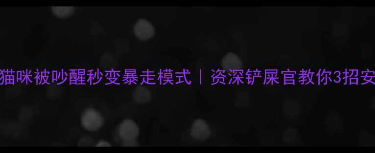 图片 📌救命！猫咪被吵醒秒变暴走模式｜资深铲屎官教你3招安抚暴躁猫