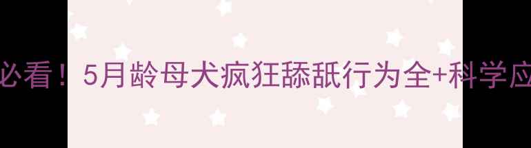 图片 📌新手必看！5月龄母犬疯狂舔舐行为全+科学应对指南