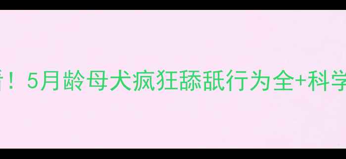 图片 📌新手必看！5月龄母犬疯狂舔舐行为全+科学应对指南2